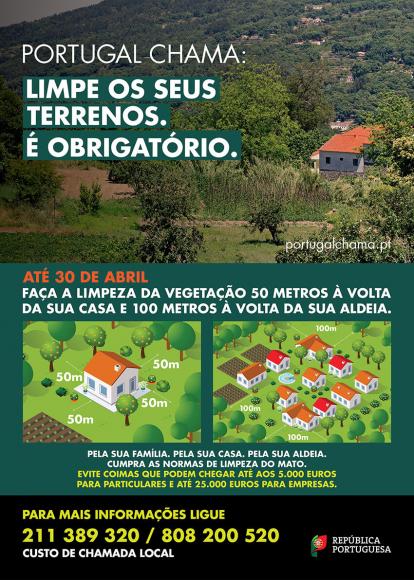 Limpeza De Terrenos